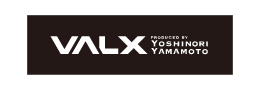 logo_valx
